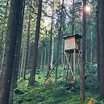 Klein Waldseele *