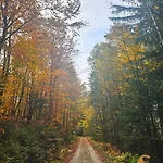 Klein Waldseele Warmensteinach