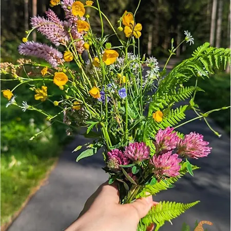 Klein Waldseele 바멘스타이나크