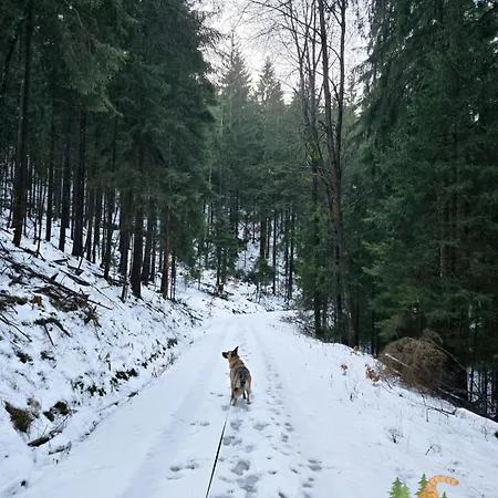 Lägenhet Klein Waldseele *