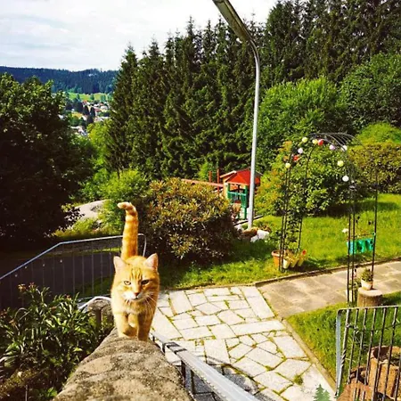 Apartment Klein Waldseele Warmensteinach