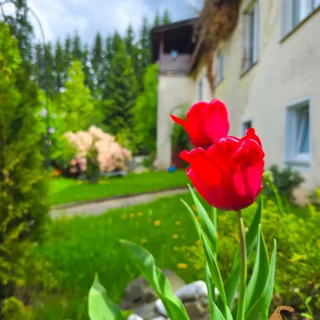 Apartment Klein Waldseele *