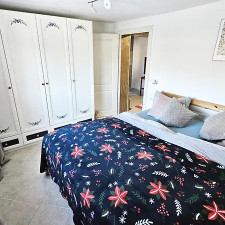 Klein Waldseele شقة فأرمينشتآينآخ