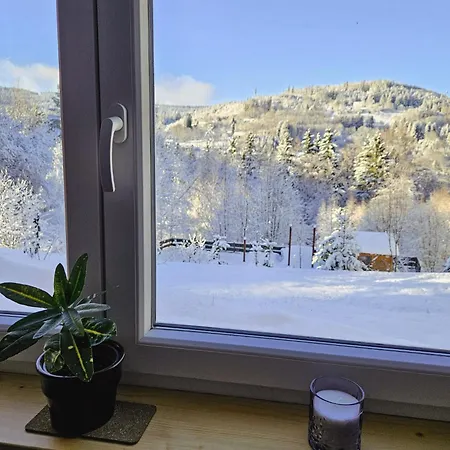 Klein Waldseele Lägenhet Warmensteinach