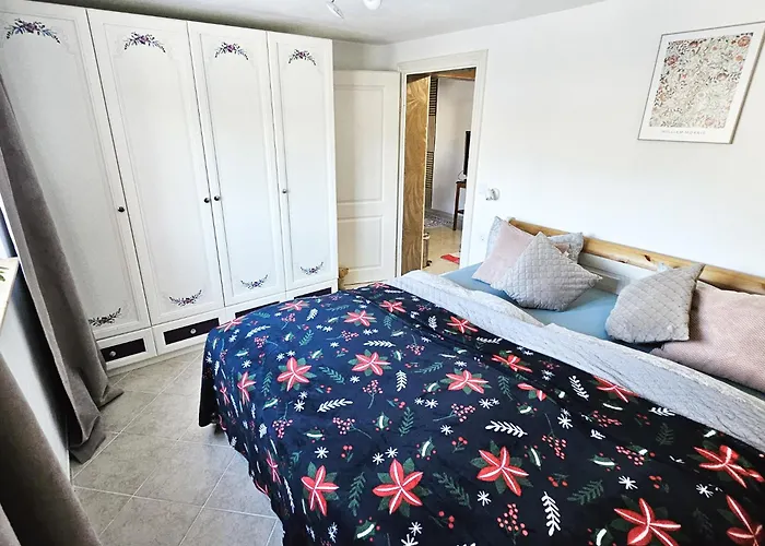 Klein Waldseele شقة فأرمينشتآينآخ